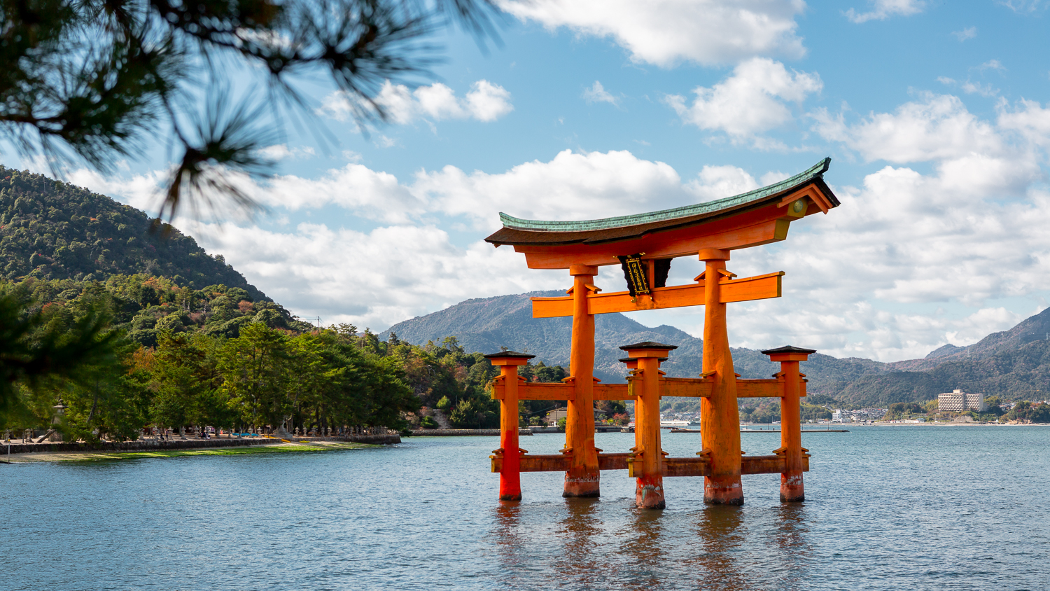 Japan Photography Guide: 14 Days from Tokyo to Hiroshima – Chasing Autumn Colours
