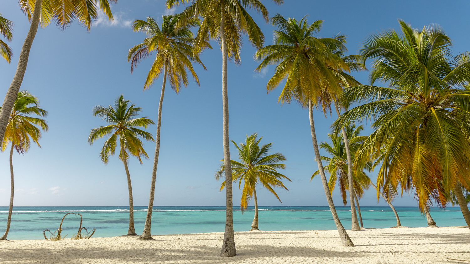 Dominican Republic in 1 Week: Capturing Paradise Beyond the Endless Sunshine