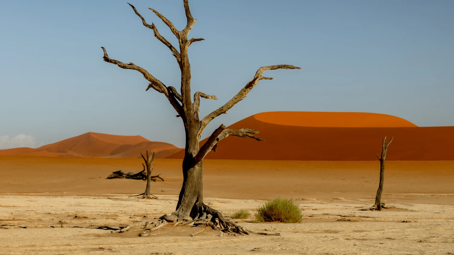 Namibia Road Trip: 1 Week of Wildlife, Landscapes & Epic Photography